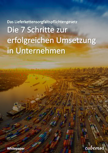 20220310_Whitepaper_LkSG-7-Schritte-fuer-Unternehmen-d 20220310_Whitepaper_LkSG-7-Schritte-fuer-Unternehmen-d