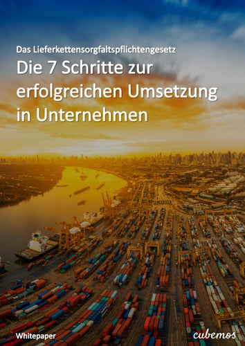 20220310_Whitepaper_LkSG-7-Schritte-fuer-Unternehmen-d