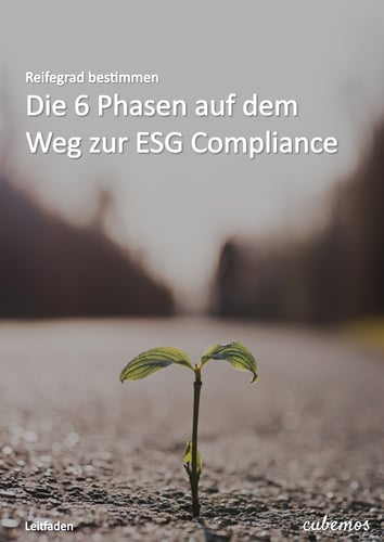 20220916_Leitfaden_Reifegrad 20220916_Leitfaden_Reifegrad